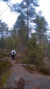 Kävelijä luonnonpuistossa
